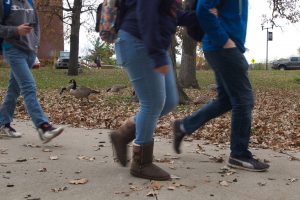 Students walking - geese