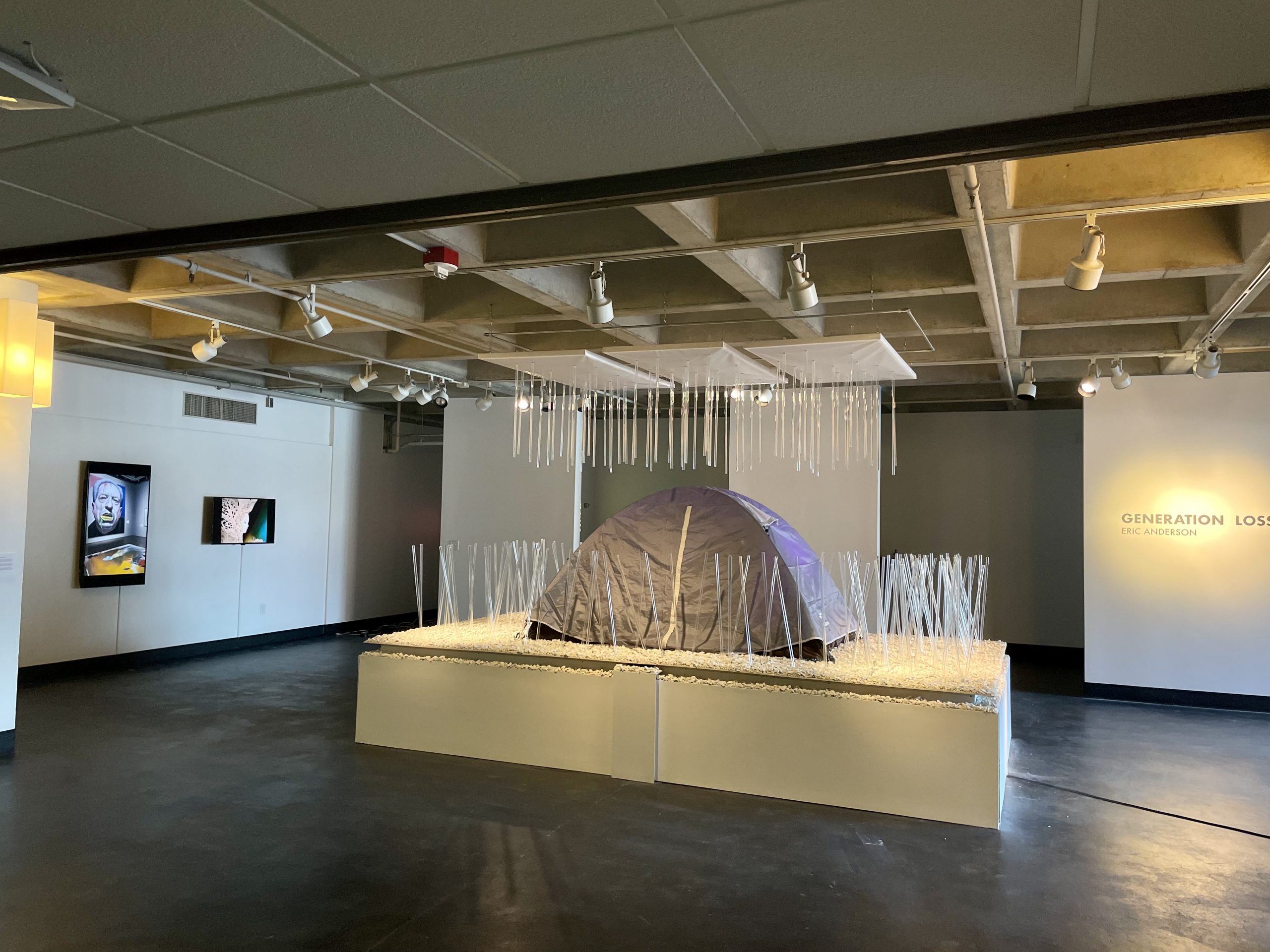Art Show Gallery