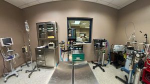 易胜博 Veterinary Technician Lab